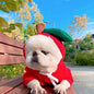 Adorable Autumn/Winter Outfit for Small Pets