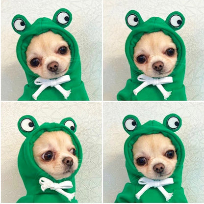 Adorable Autumn/Winter Outfit for Small Pets
