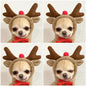 Adorable Autumn/Winter Outfit for Small Pets