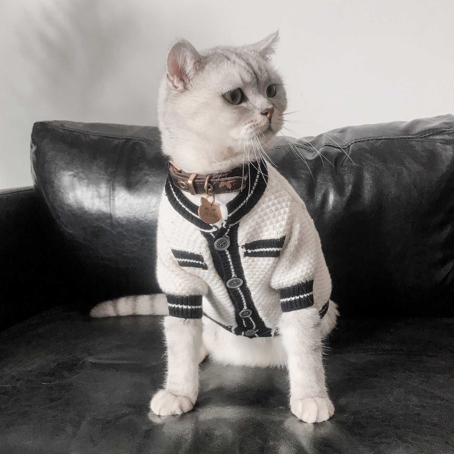 Luxury Design Elegant Wool Cardigan Sweater For Pets