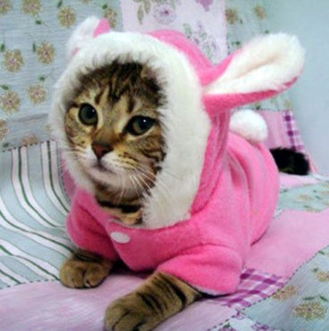 Adorable rabbit-ear shaped cotton jacket