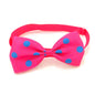 Polka Dot Bow Tie