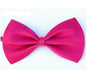 Adjustable Pet Bow Tie - Various Colors