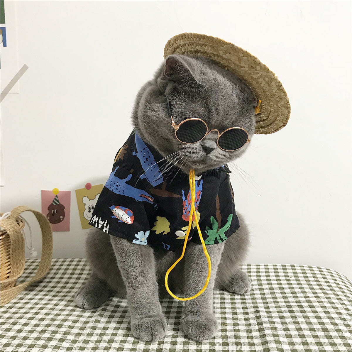 Stylish Summer Pet Cat clothes