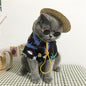 Stylish Summer Pet Cat clothes