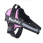 Custom No-Pull Reflective Dog Harness Adjustable Vest