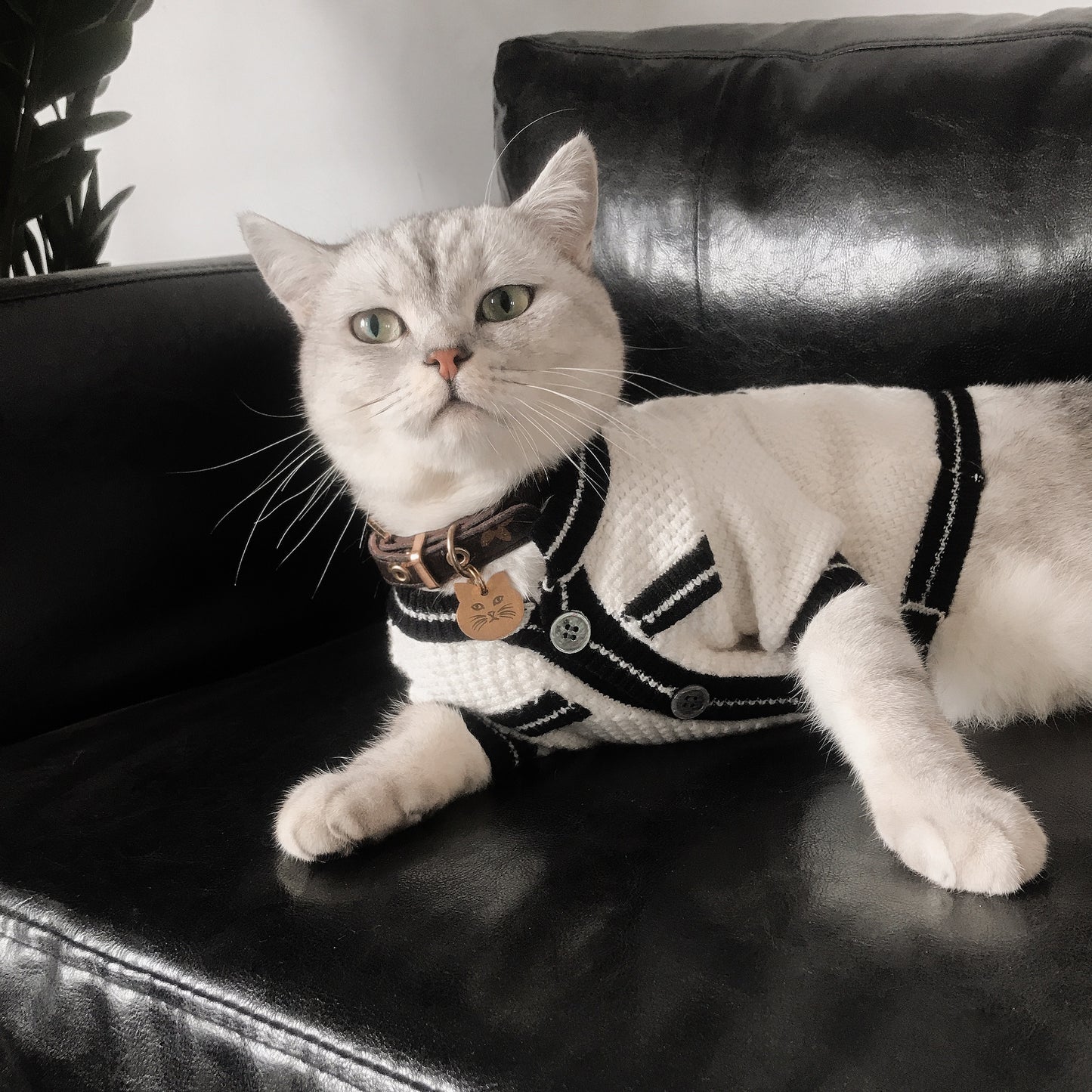 Luxury Design Elegant Wool Cardigan Sweater For Pets