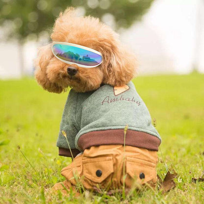 Pet Supplies Sunscreen UV Goggles