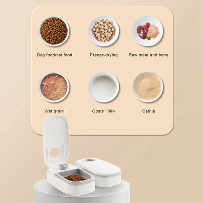 Smart Automatic Pet Feeder with Timer & Stainless Bowl