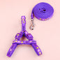 Pet patch traction rope set