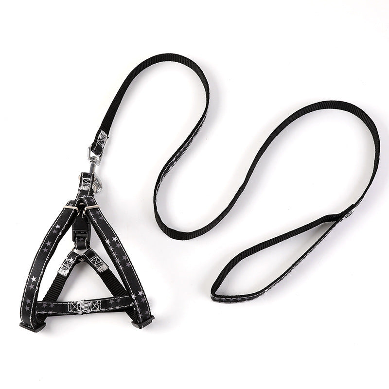 Pet Outing Leash