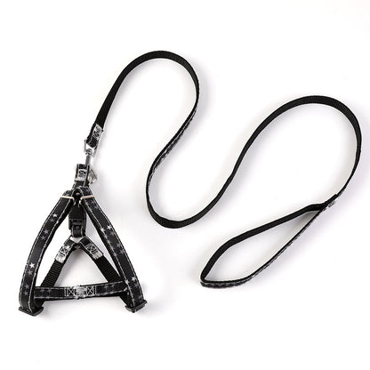 Pet Outing Leash