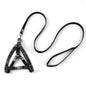 Pet Outing Leash