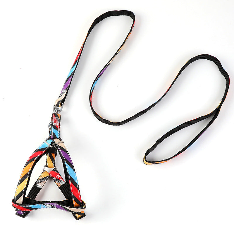 Pet Outing Leash