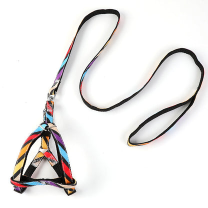 Pet Outing Leash