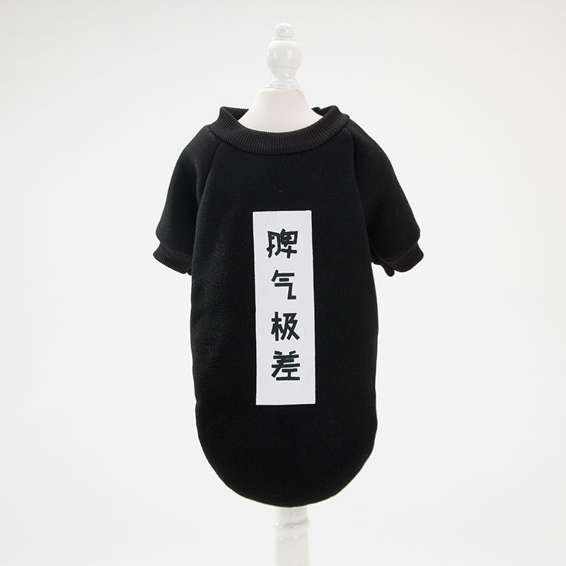 Summer cotton t-shirt