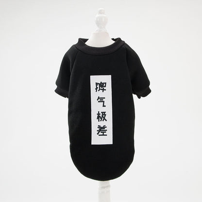 Summer cotton t-shirt