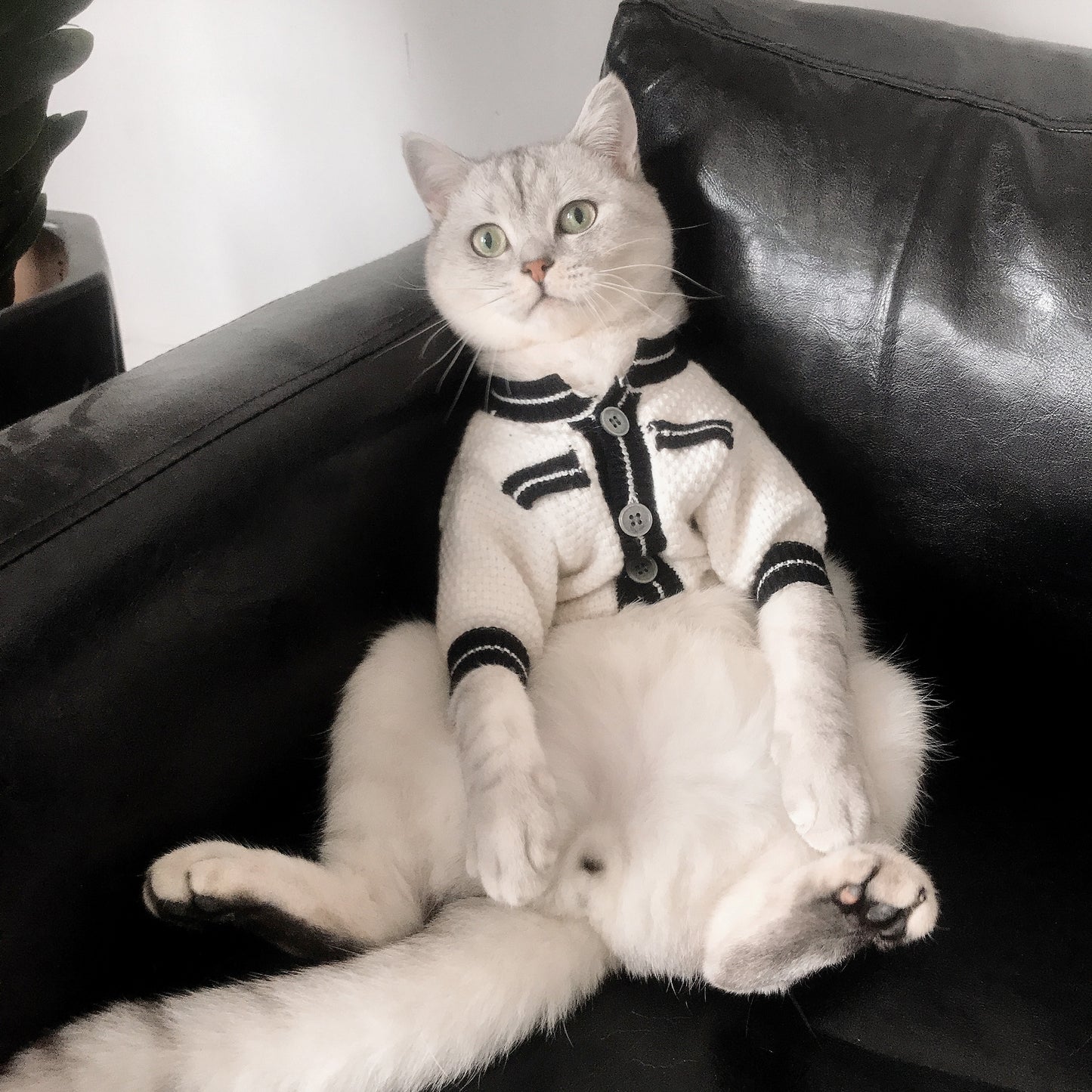 Luxury Design Elegant Wool Cardigan Sweater For Pets