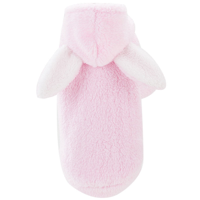 Cat clothes kitten cat cute