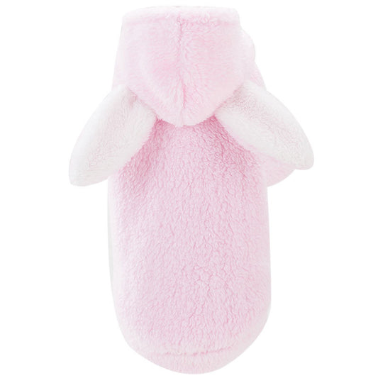 Cat clothes kitten cat cute