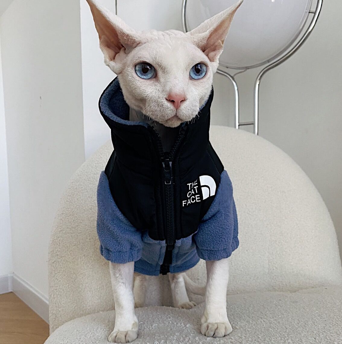Clothes Warm Pet