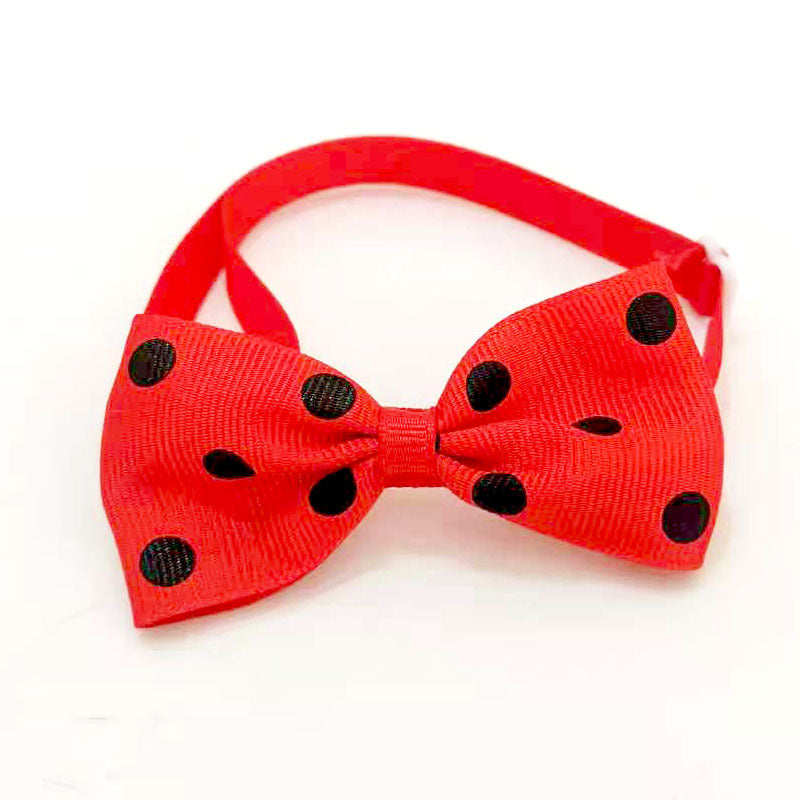 Polka Dot Bow Tie