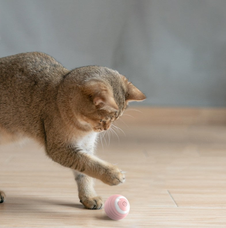 Automatic Moving Smart Cat Toy Ball