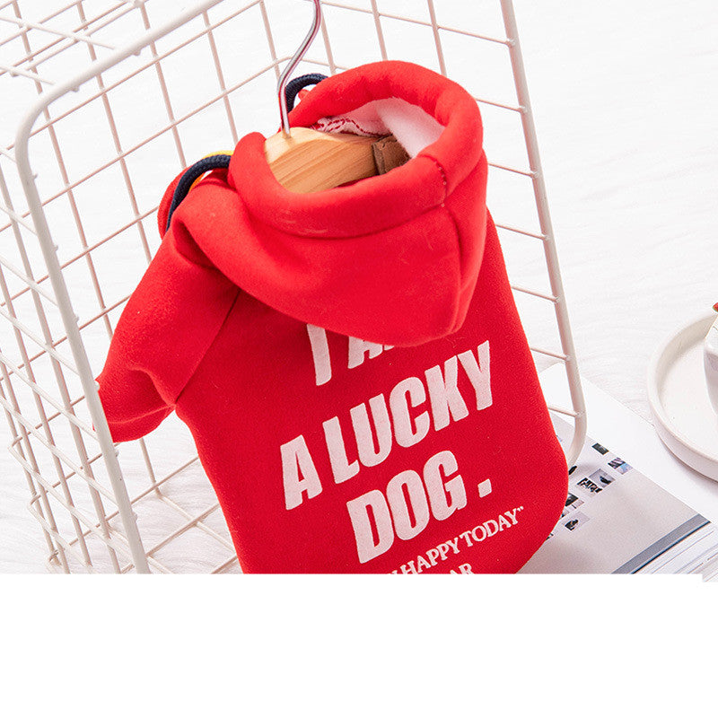 Warm hoodie for pets