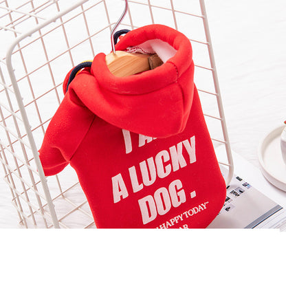 Warm hoodie for pets