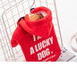 Warm hoodie for pets