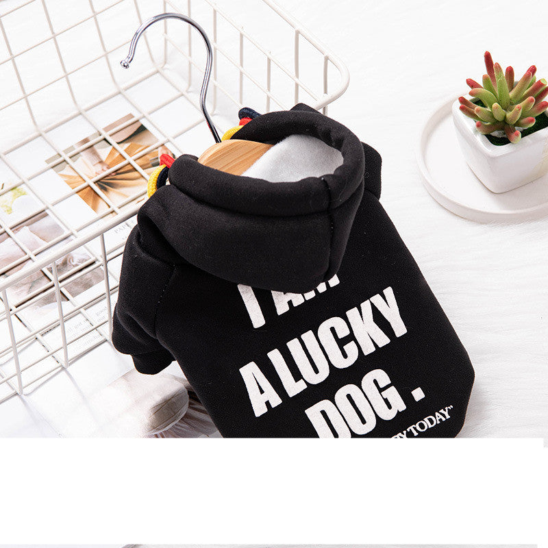 Warm hoodie for pets