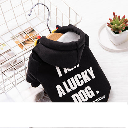 Warm hoodie for pets