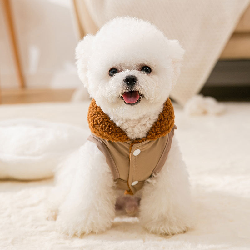 Korean Style Coffee Sweater Fit Small pet