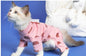 Clothes for Cats | British Shorthair Anti-Shed 4-Leg Outfit