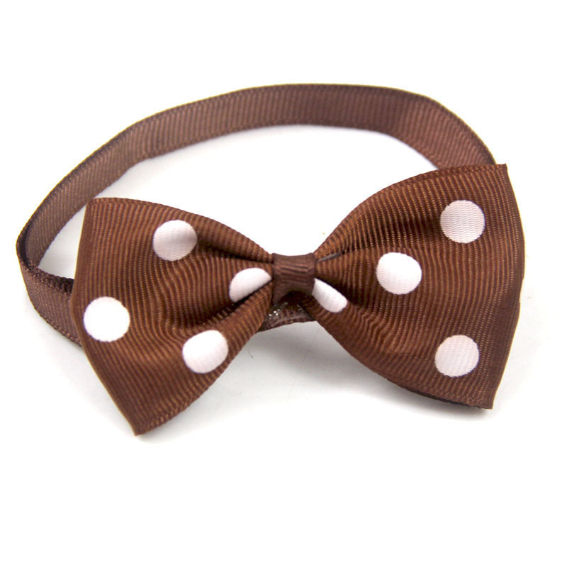 Polka Dot Bow Tie