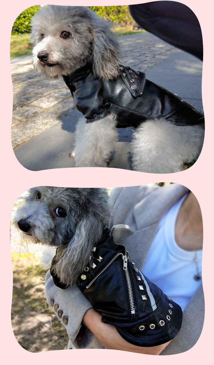 Dog Fashion Leather Coat - Korean Style Winter Wear Rivet Black