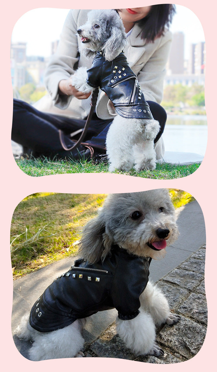 Dog Fashion Leather Coat - Korean Style Winter Wear Rivet Black