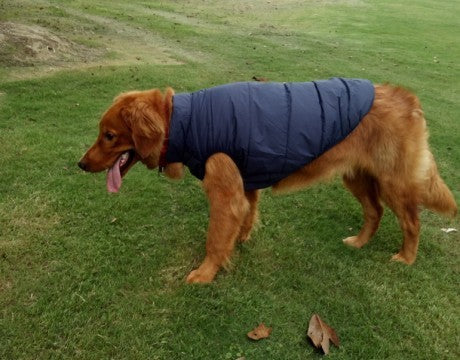 Warm & Waterproof Outdoor Use Dog Clothing