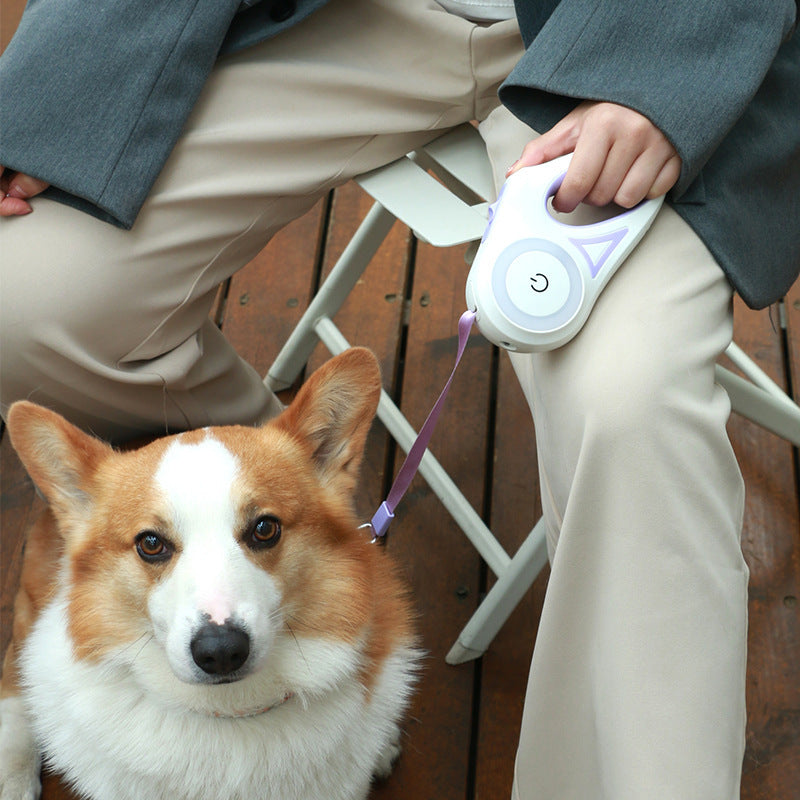 Retractable Leash with Spotlight and Collar