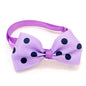 Polka Dot Bow Tie