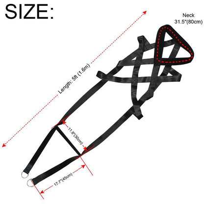 Dog training supplies Leashes Chest straps