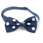 Polka Dot Bow Tie