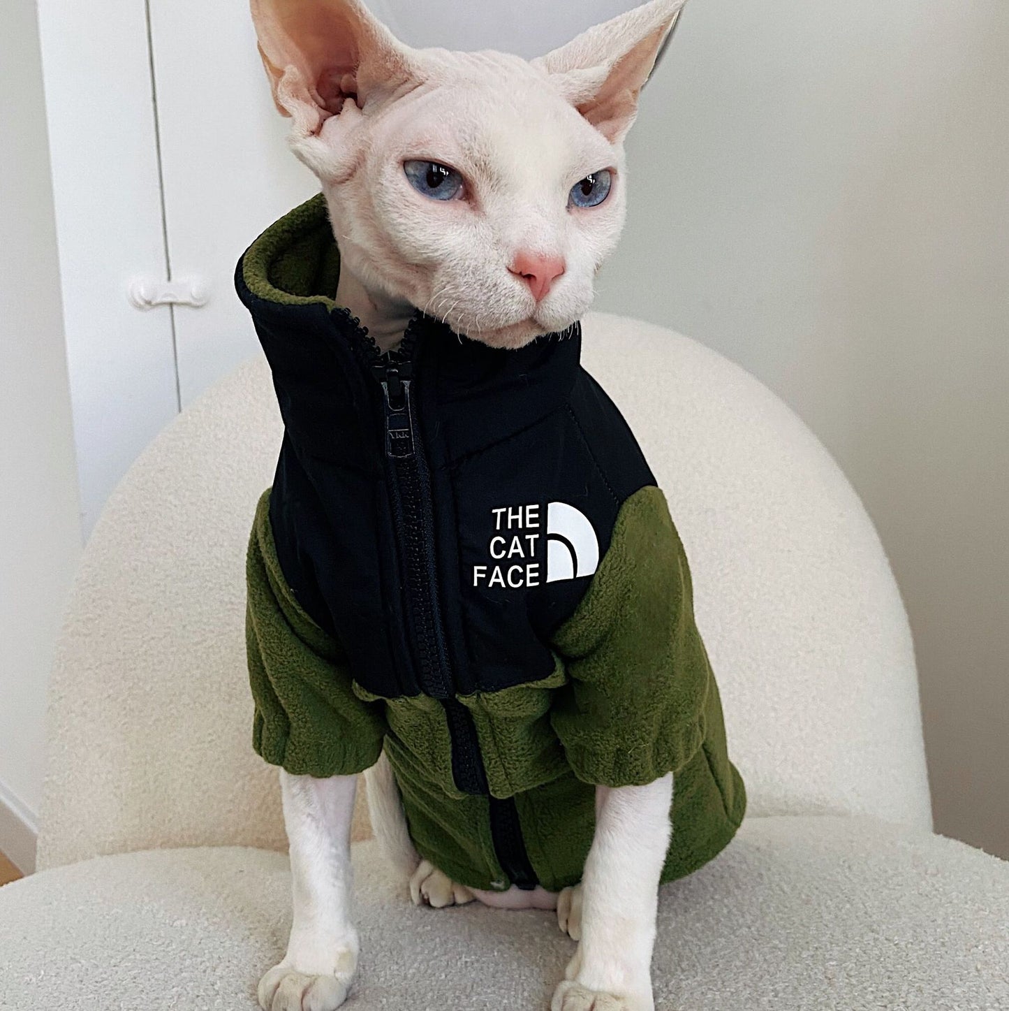 Clothes Warm Pet