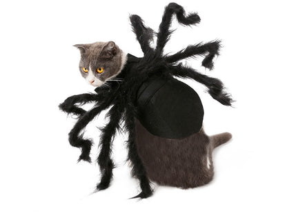 Cosplay into a unique black spider for pet