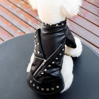 Dog Fashion Leather Coat - Korean Style Winter Wear Rivet Black
