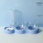 Multi-purpose bowl integrates eating and drinking for pets