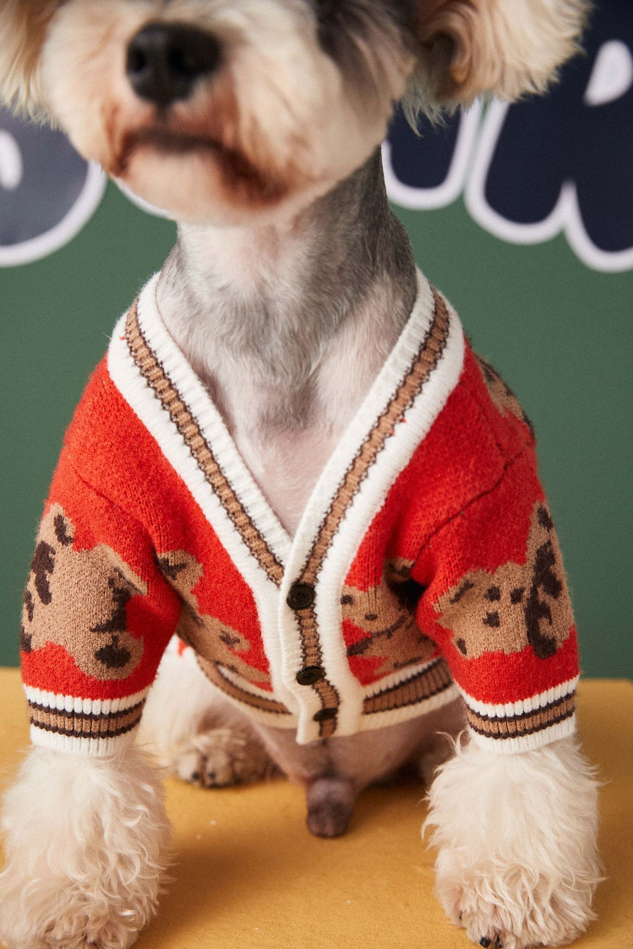 Bear print cardigan