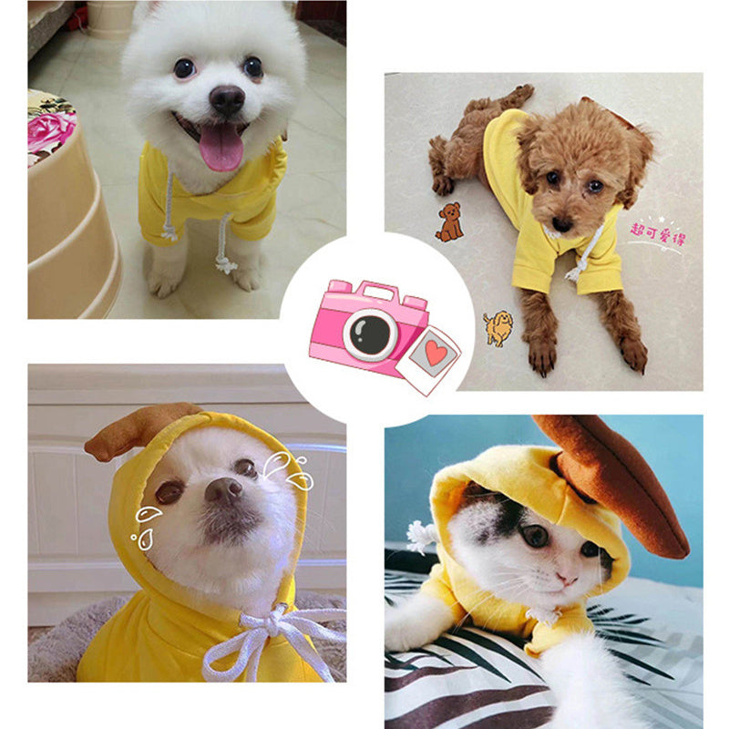 Adorable Autumn/Winter Outfit for Small Pets
