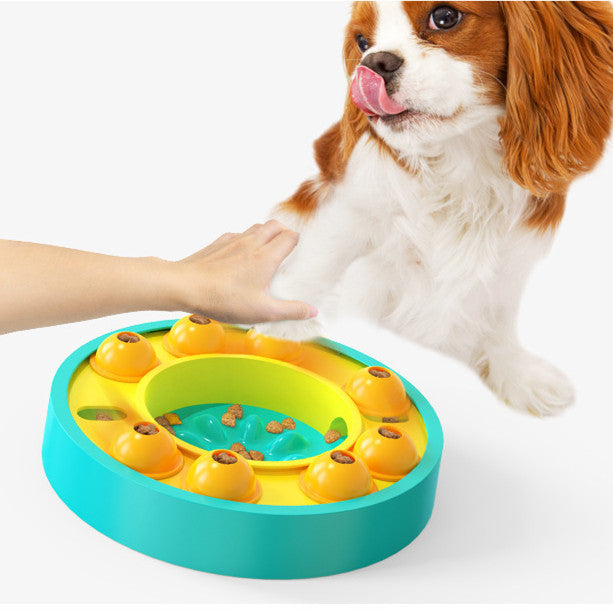 Toy bowls increase your pet's IQ