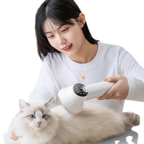 Pet-safe grooming dryer